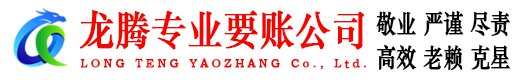 禹会龙腾讨账公司